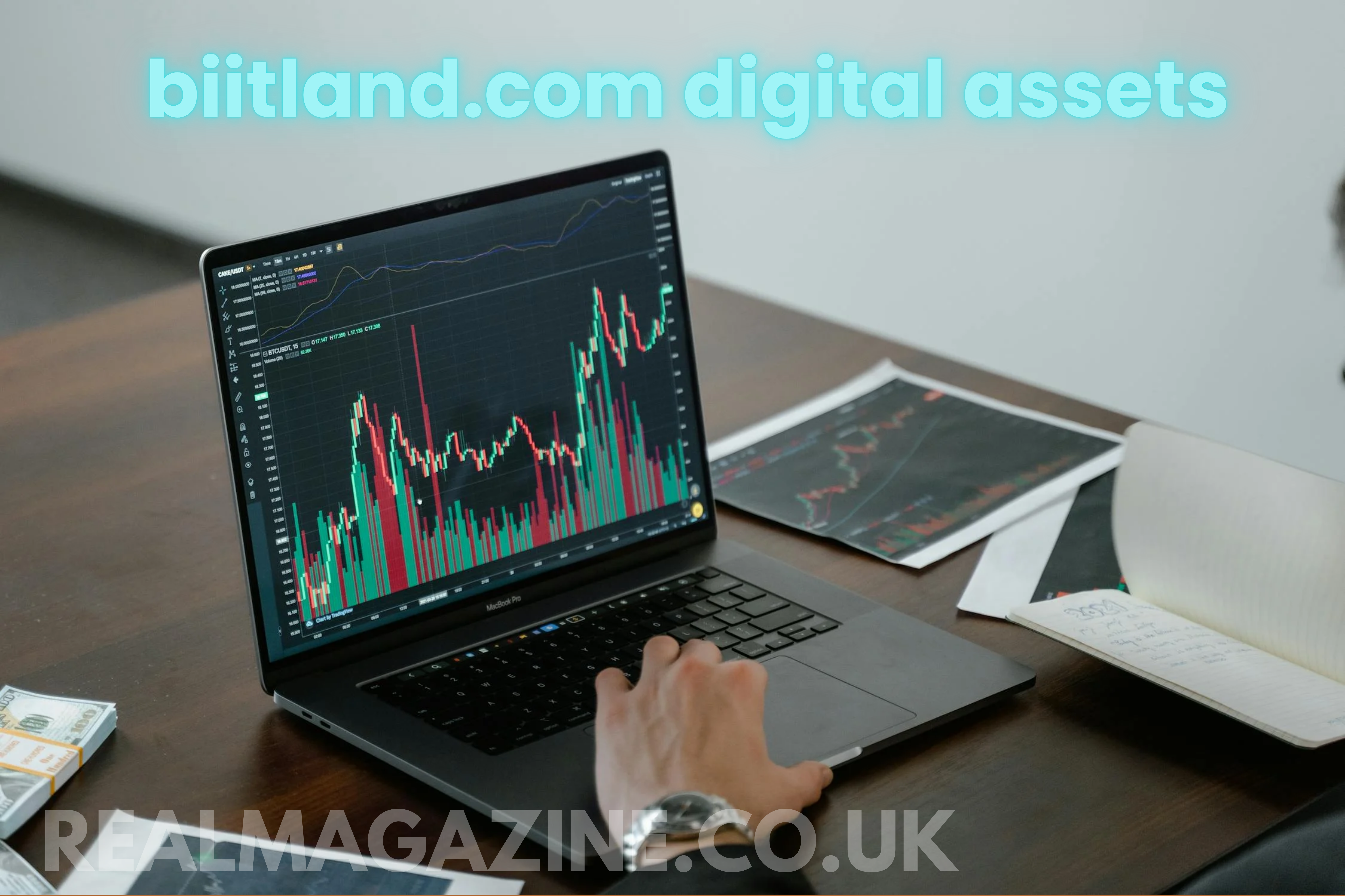 biitland.com digital assets